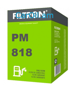 Filtron PM 818